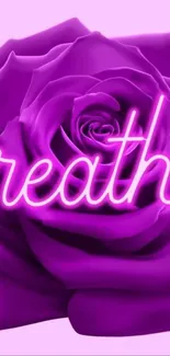 Purple rose with neon text 'breathe' glowing beautifully.