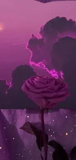 Purple rose under moonlit cloudy sky wallpaper.