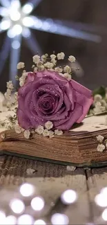 Purple rose on a vintage open book with bokeh lights.