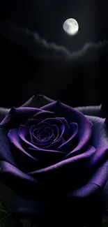 Purple rose under moonlight against a dark sky.