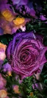 Purple rose with dewdrops against a bokeh light background.