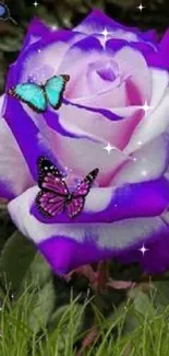 Purple rose with colorful butterflies and green grass background.