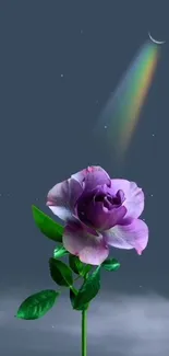 Purple rose with rainbow and moonlit sky background.