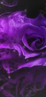 Purple rose with smoky effect on dark background.