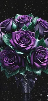 Purple roses bouquet with dark background.