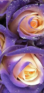 Elegant purple roses wallpaper with sparkling details.