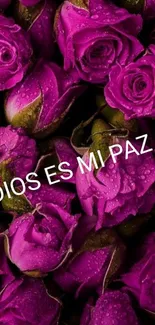 Purple roses with 'Dios es mi paz' text.