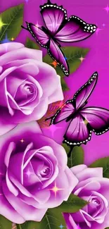 Purple roses and butterflies wallpaper with magenta background.