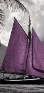 Purple sailboat under moonlit sky with palm leaf silhouette.