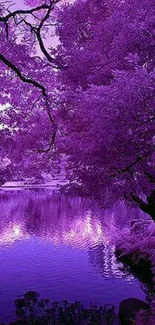 Purple trees reflecting in a serene lake, creating a tranquil nature scene.