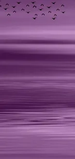 Purple gradient wallpaper with birds flying.