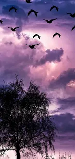 Silhouetted birds and tree against a pastel purple sky.