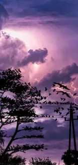 Purple sky with lightning and silhouetted trees in a dramatic evening scene.