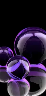 Purple glossy spheres on a black background wallpaper.