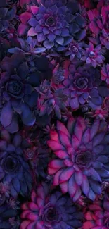 Purple and pink succulent floral wallpaper with vibrant color.