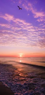 Purple sunset over beach with waves and a soaring bird.