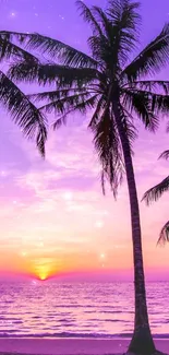 Purple sunset beach with palm trees and ocean view.