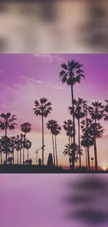 Stunning purple sunset with palm tree silhouettes creating a tropical scene.