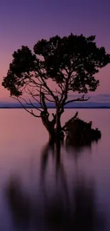 Lone tree reflecting in a tranquil purple sunset over calm water.