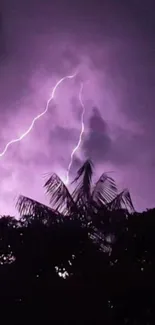 Purple night sky with dramatic lightning strikes.