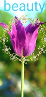 Purple tulip with gold accents on a mobile wallpaper.