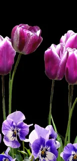 Purple tulips and violets on a black background.