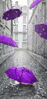 Vibrant purple umbrellas in a grayscale alley.