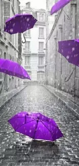 Purple umbrellas in grayscale urban street scene.