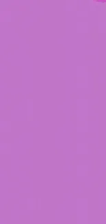 Purple Violet Pink Live Wallpaper