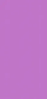 Purple Violet Pink Live Wallpaper