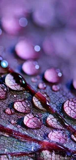 Macro shot of purple water droplets on a textured surface, artistic mobile wallpaper.