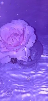 Purple rose floating on water with a serene aesthetic.