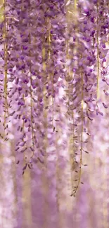 Mobile wallpaper with cascading purple wisteria blossoms.