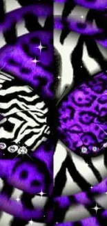 Purple zebra-striped butterfly on spiral pattern.