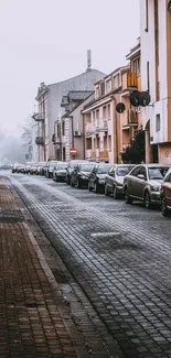 Quiet urban street with parked cars and cozy buildings under a misty sky.