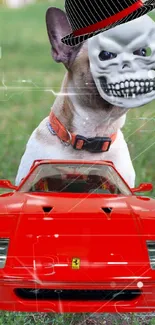 Dog with skull mask and red sports car on mobile wallpaper.