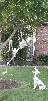 Skeleton decor in garden with tree and shrub in background.