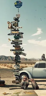 Playful monkeys in desert setting with vintage car and colorful road sign.