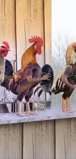 Three roosters with human arms on a rustic porch in winter.