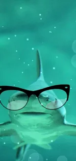 Shark wearing glasses with a turquoise background.