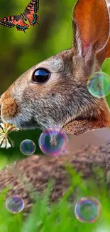 Rabbit with butterfly and bubbles on a green background.