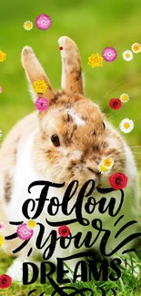 Cute rabbit with 'Follow Your Dreams' text on green grass background.