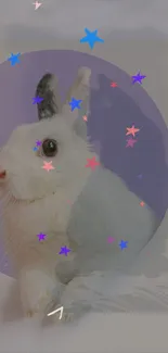 Rabbit Purple Ear Live Wallpaper