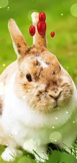 Rabbit Rabbits And Hares Plant Live Wallpaper