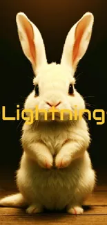 Rabbit Toy Light Live Wallpaper