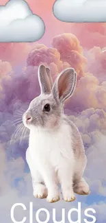 A cute rabbit sits among pastel clouds on a dreamy wallpaper.