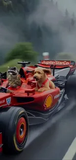 Animals driving a Formula 1 car on a forest road.