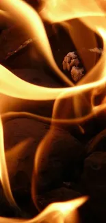 Racy Light Fire Live Wallpaper