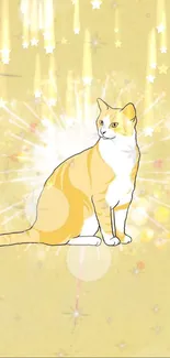 Radiant orange-and-white cat on yellow starry background wallpaper.