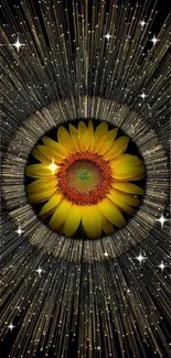 Yellow sunflower with light beams background.